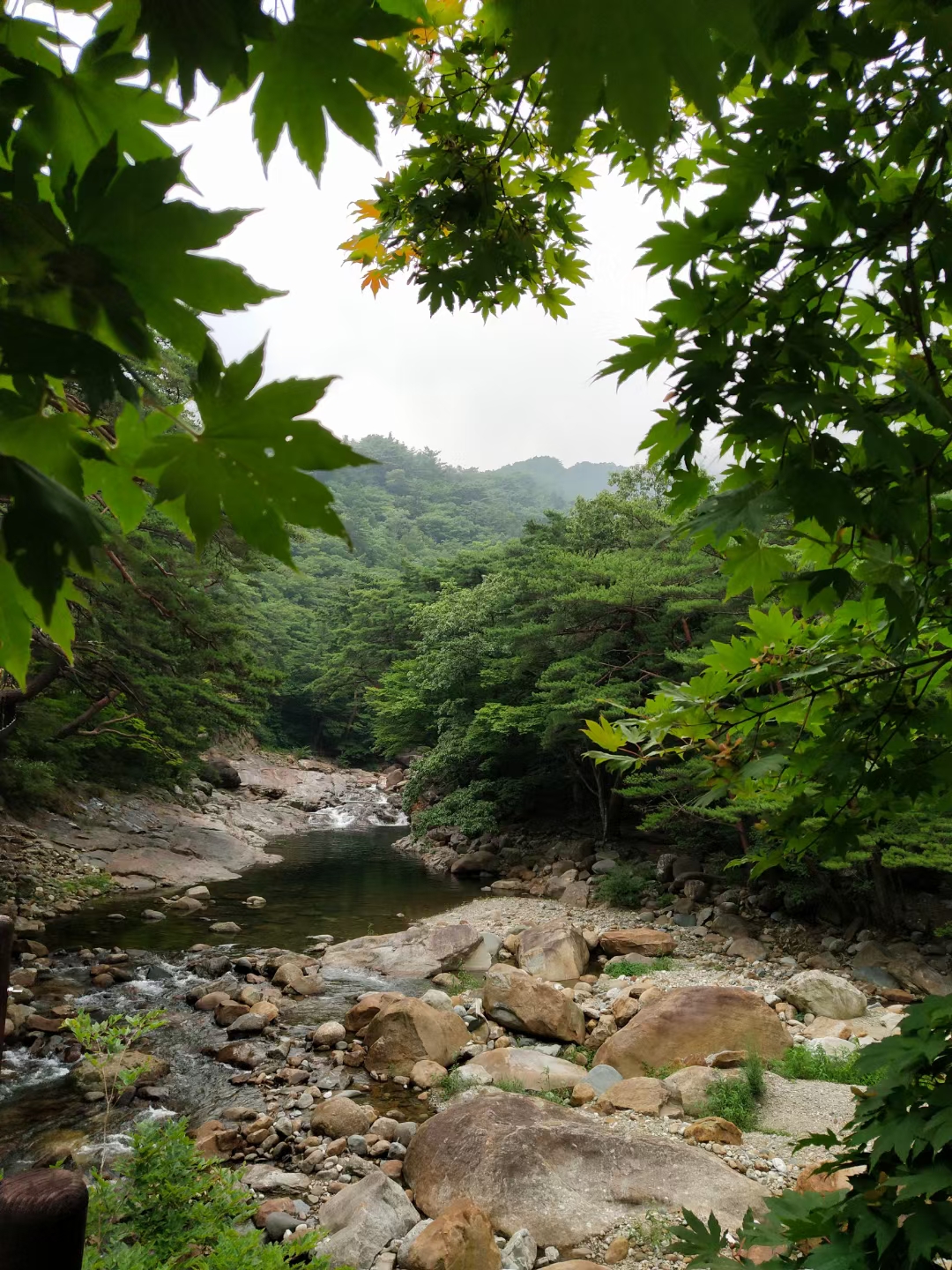 《希伯来书》第八章释经讲章